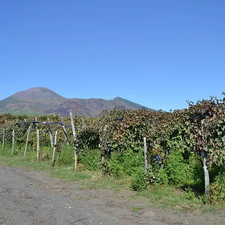 Casa Vacanza Luna *